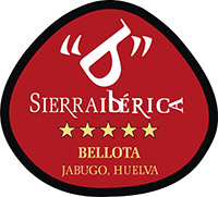 sierra iberica mitja del castell
